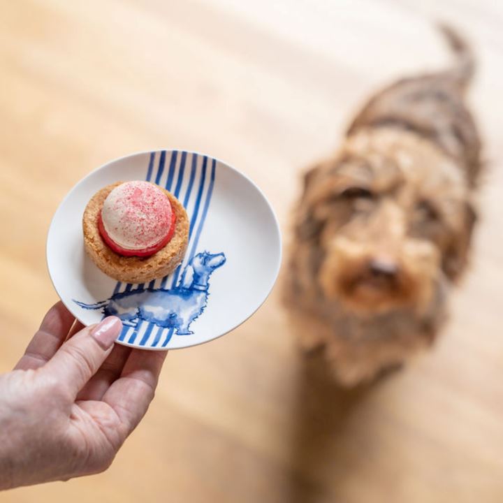 Dachshund Appetizer Plate Serveware 