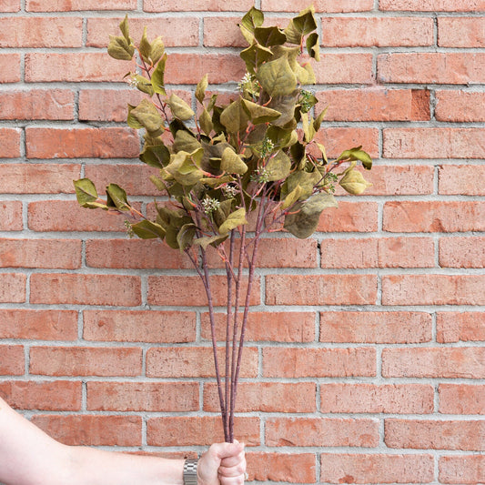 Dark Green Silver Dollar Eucalyptus Stem 38" Greenery 
