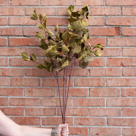Dark Green Silver Dollar Eucalyptus Stem 38" Greenery 