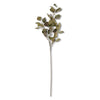 Dark Green Silver Dollar Eucalyptus Stem 38" Greenery 