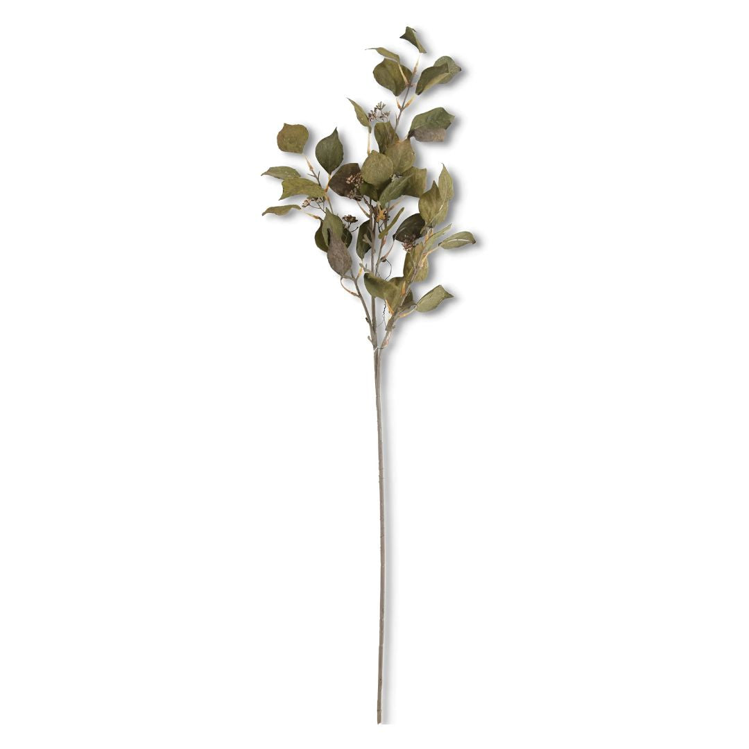 Dark Green Silver Dollar Eucalyptus Stem 38" Greenery 