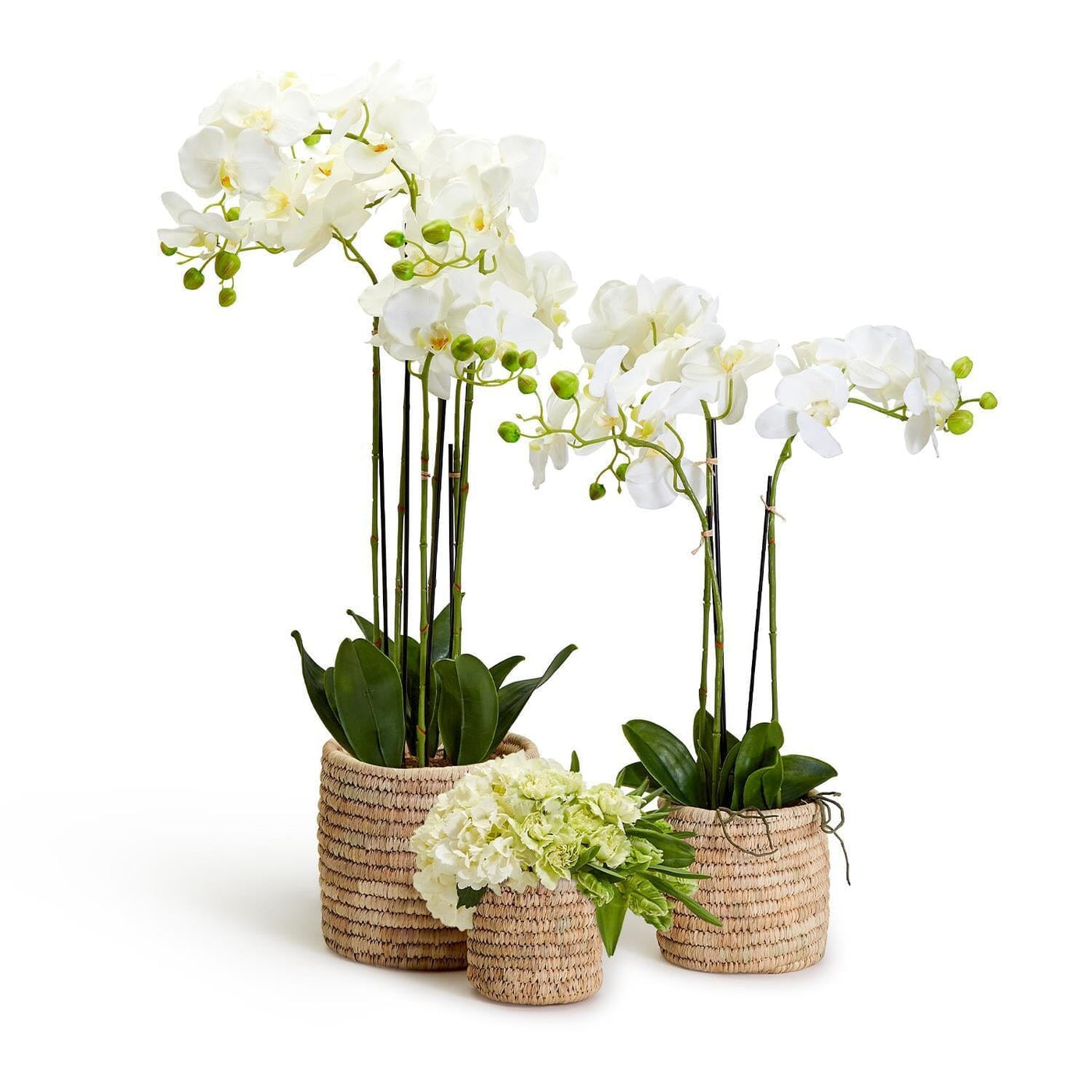 Baskets & Trays | Rainsford Company