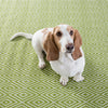 Diamond Sprout/White Handwoven Indoor/Outdoor Rug Rugs 
