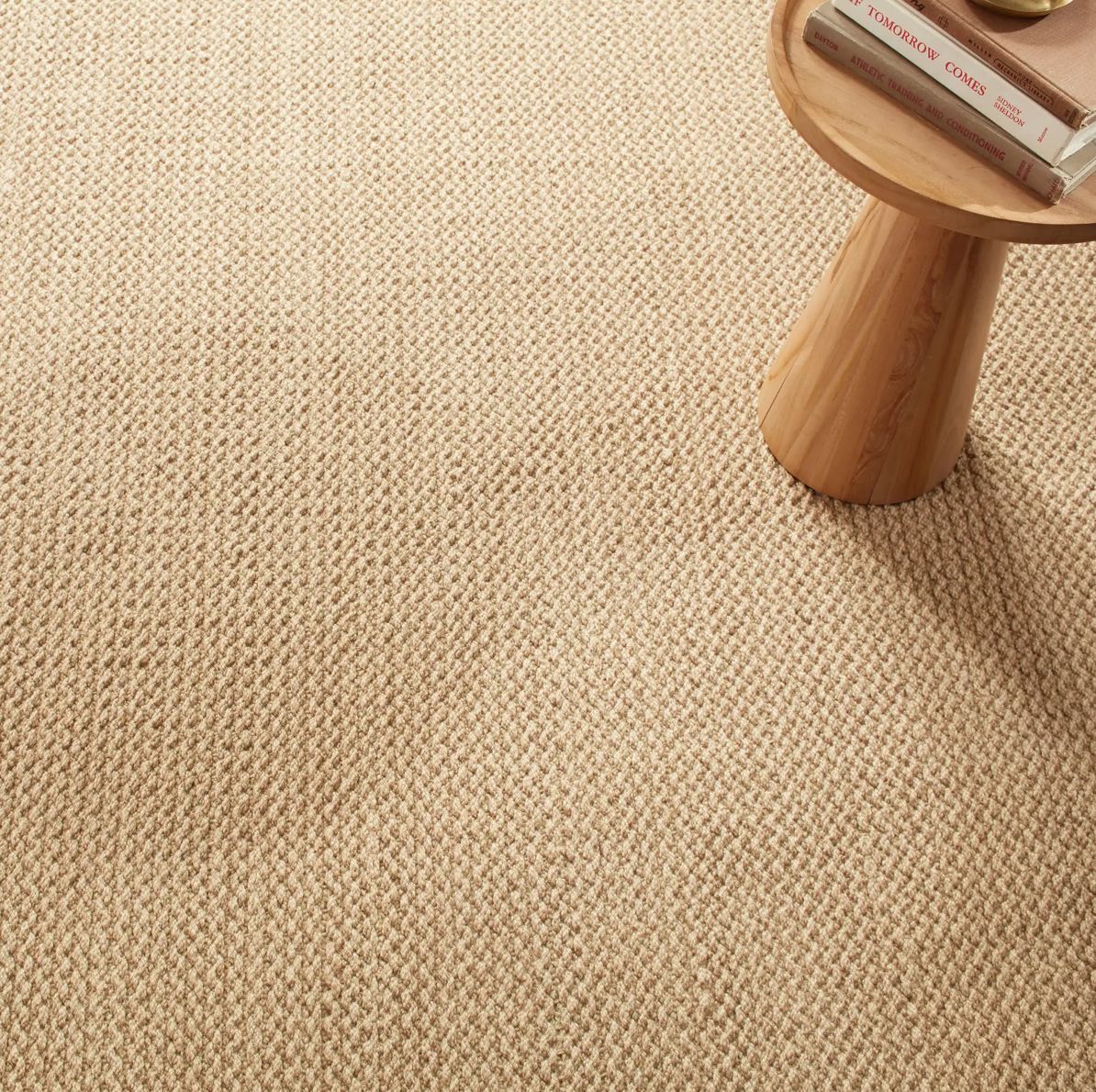 Donovan Indoor/Outdoor Rug Rugs 