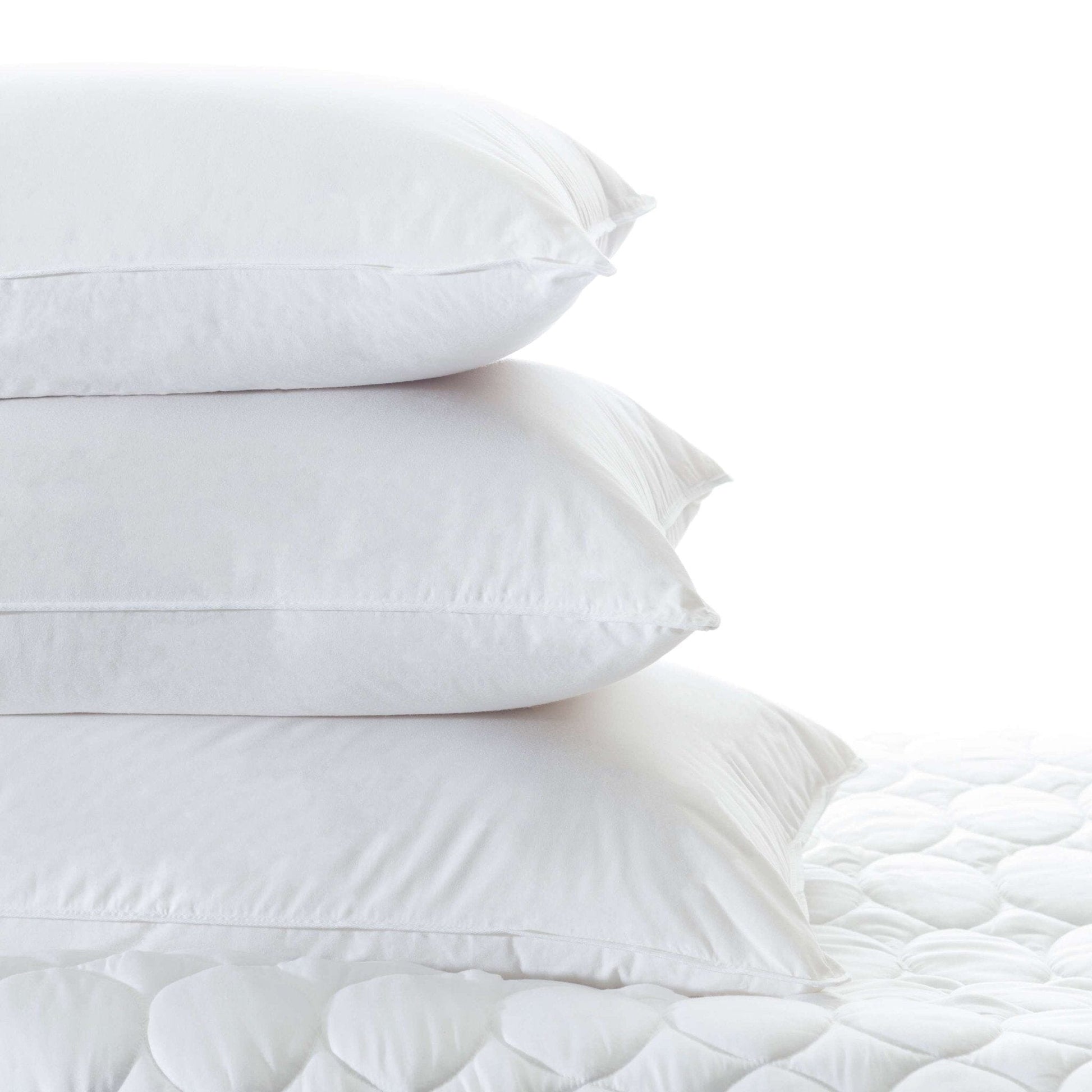 Duet Down Pillow Pillow Insert 