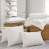 Duet Down Pillow Pillow Insert 