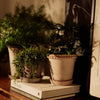 Emilia Pot 21cm- Rosa Vases, Planters & Jars 
