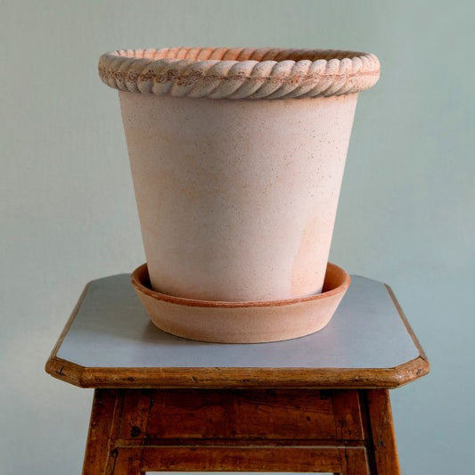 Emilia Pot 21cm- Rosa Vases, Planters & Jars 