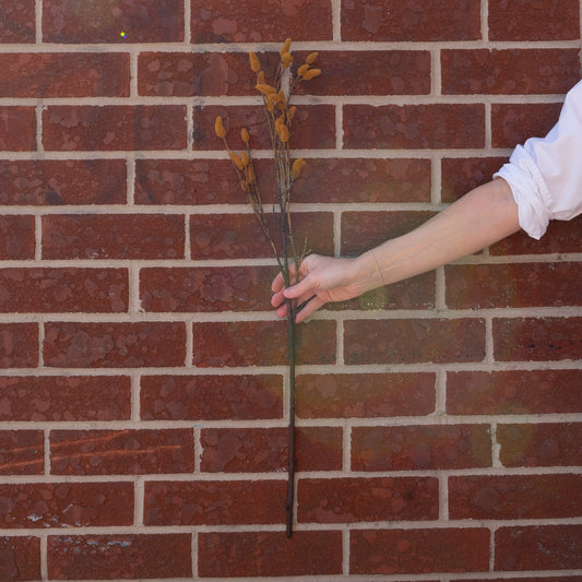 Fall Willow 31.5" Greenery 