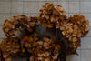 Faux Dried Brown Hydrangea Stem 30" Greenery 