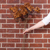 Faux Dried Brown Hydrangea Stem 30" Greenery 