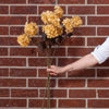 Faux Dried Cream Hydrangea Stem 30" Greenery 