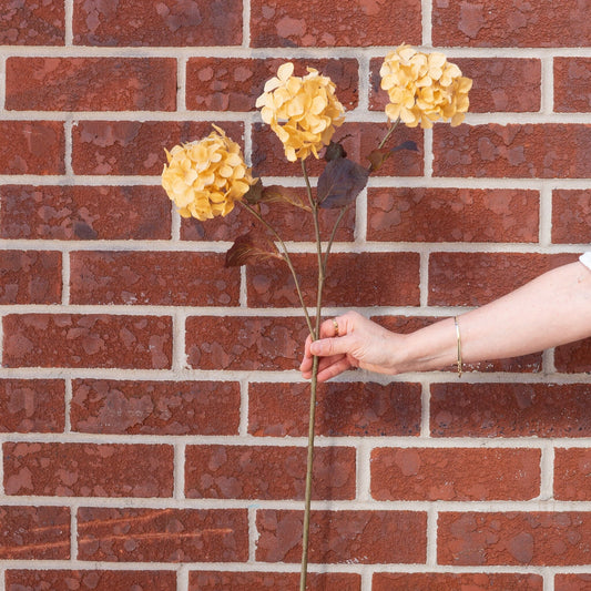 Faux Dried Cream Hydrangea Stem 30" Greenery 