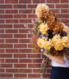 Faux Dried Cream Hydrangea Stem 30" Greenery 