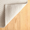 Finn Platinum Handwoven Indoor/Outdoor Rug Rugs 