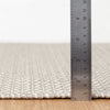 Finn Platinum Handwoven Indoor/Outdoor Rug Rugs 