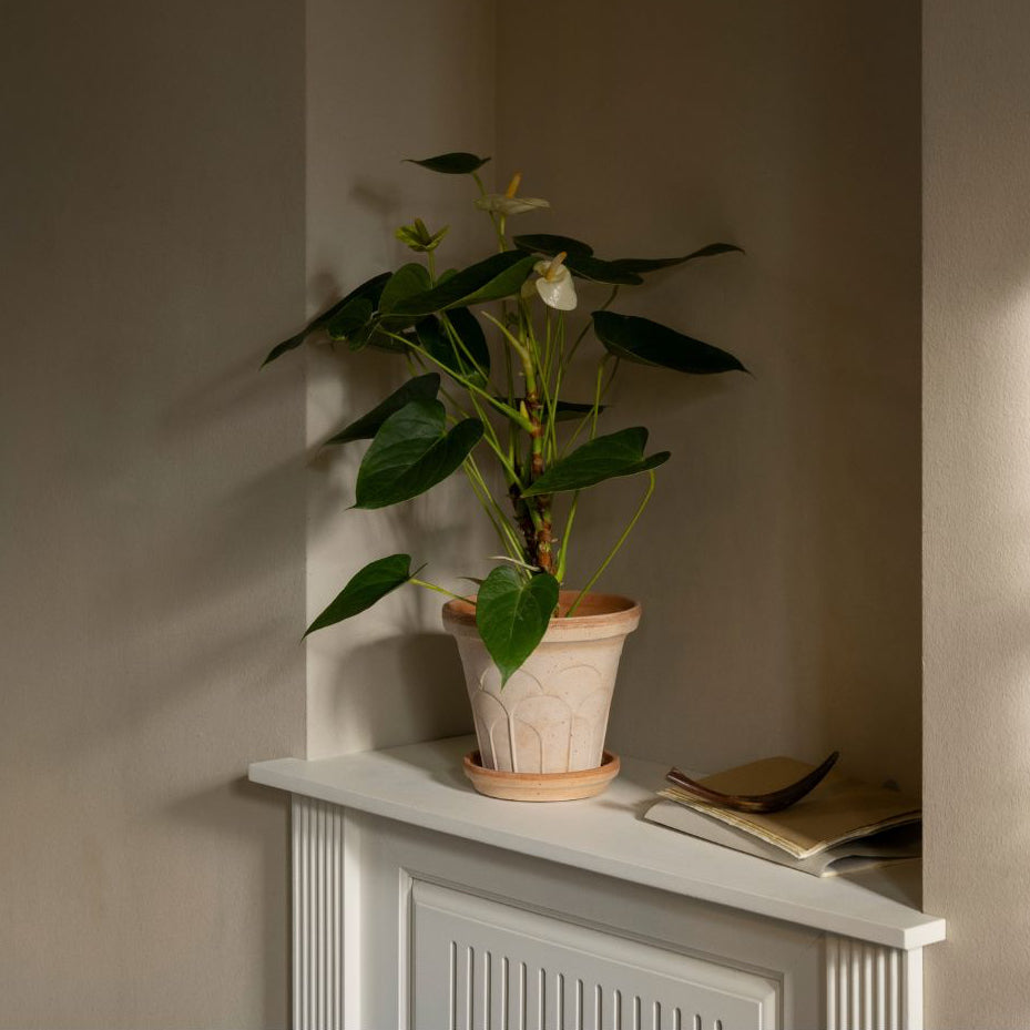 Fleur Pot 21cm- Rosa Vases, Planters & Jars 