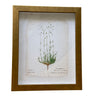 Flower Painted On Torn Paper Background Vintage Print Framed Art 