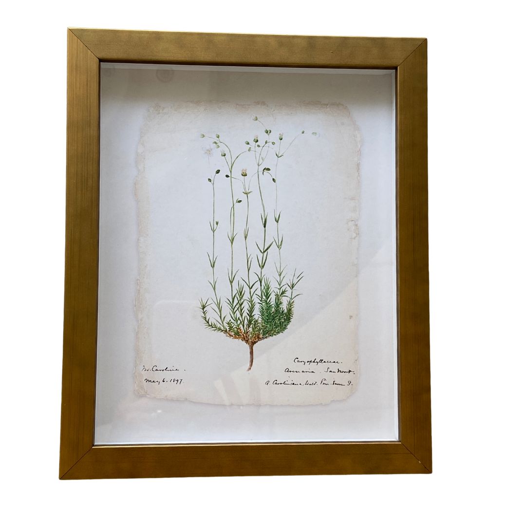Flower Painted On Torn Paper Background Vintage Print Framed Art 