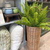 Forest Fern Bush 27" Greenery 