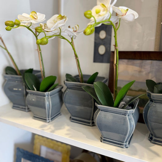 Francesca Pot Decorative Accessories 