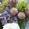 Giant Allium - Lavender 31.5" Greenery 