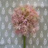 Giant Allium - Lavender 31.5" Greenery 