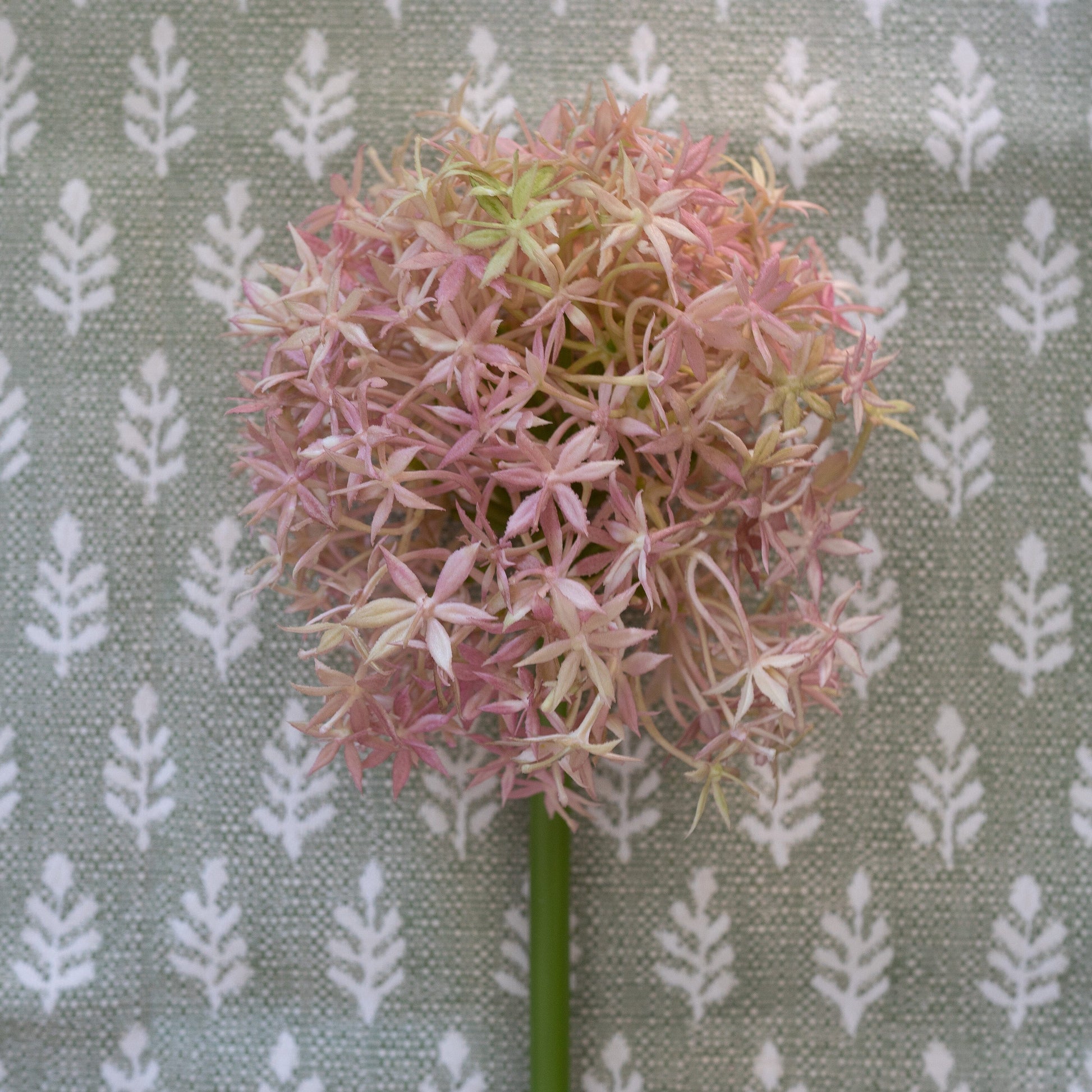 Giant Allium - Lavender 31.5" Greenery 
