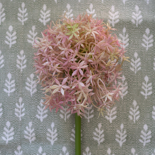Giant Allium - Lavender 31.5" Greenery 