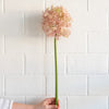Giant Allium - Lavender 31.5" Greenery 