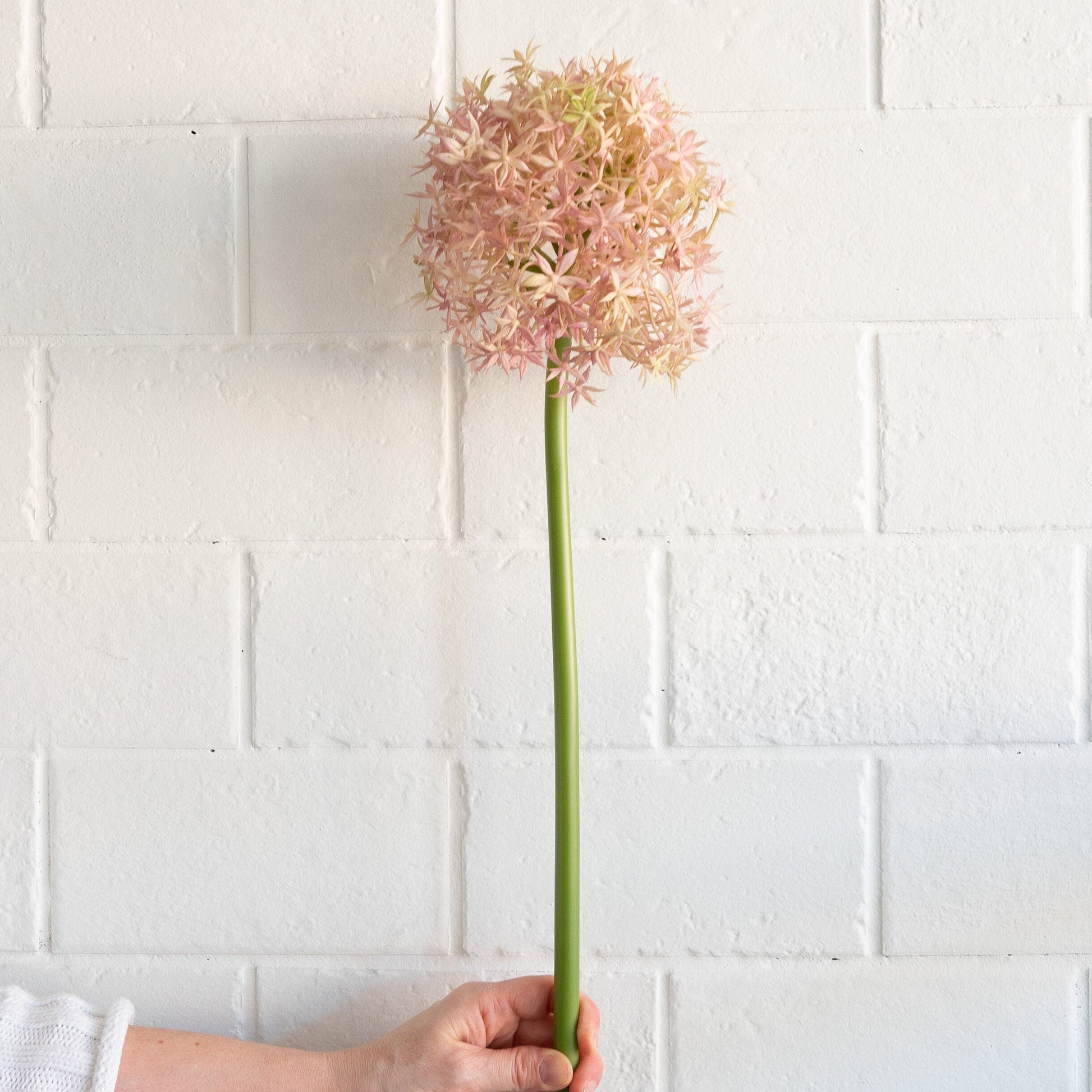 Giant Allium - Lavender 31.5" Greenery 