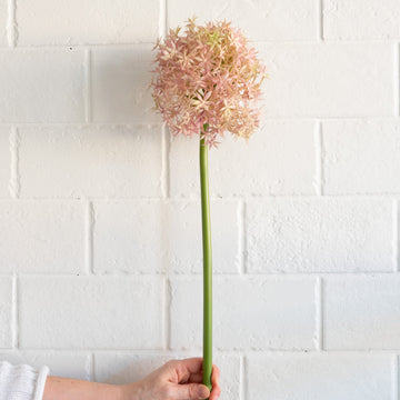 Giant Allium - Lavender 31.5" Greenery 