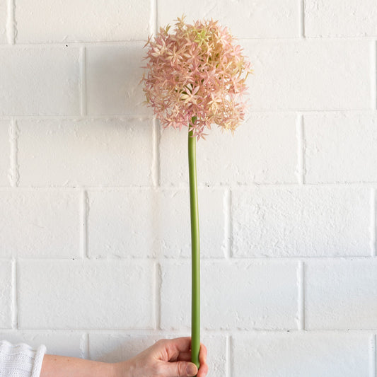 Giant Allium - Lavender 31.5" Greenery 