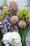 Giant Light Green Allium 31.5" Greenery 