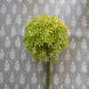 Giant Light Green Allium 31.5" Greenery 