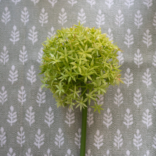Giant Light Green Allium 31.5" Greenery 