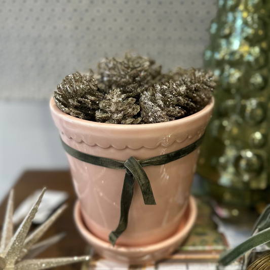 Glittered Pinecones - 24 Objects & Accents 