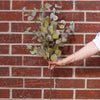 Green Eucalyptus Stem 36" Greenery 