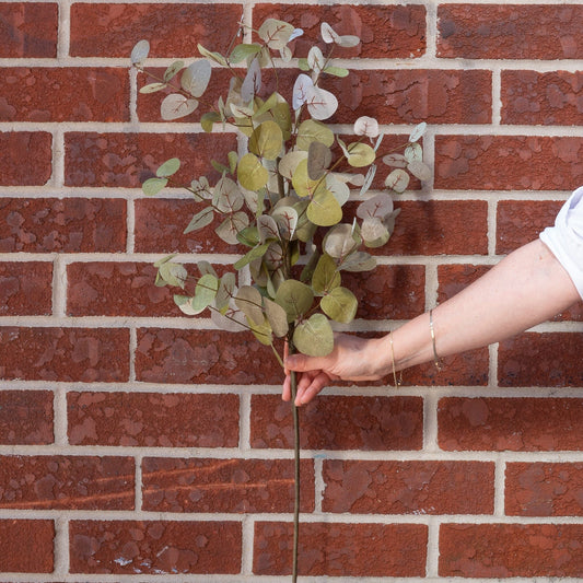 Green Eucalyptus Stem 36" Greenery 