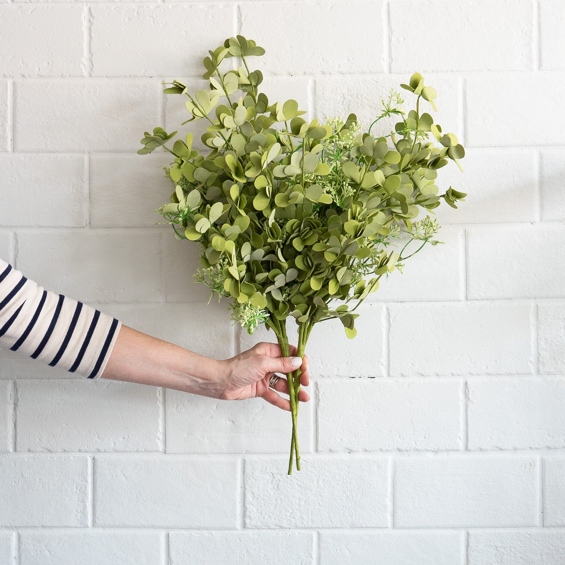 Green Eva and Eucalyptus Bush Greenery 
