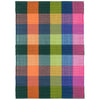 Happy Plaid Multi Handwoven Indoor/Outdoor Rug Rugs 