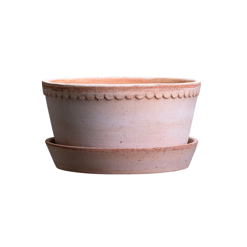 Helena Low Cache Pot & Saucer - Rosa Vases, Planters & Jars 