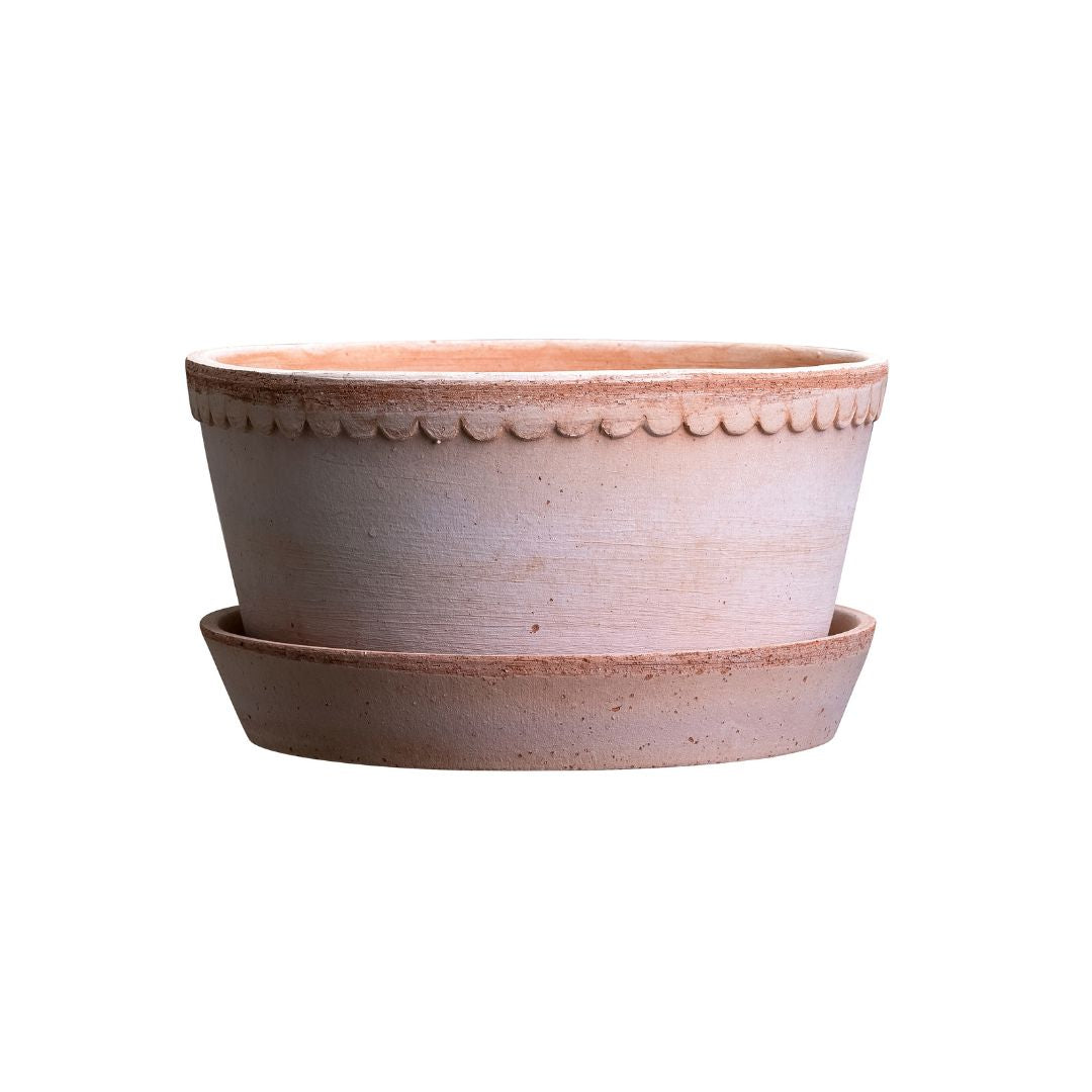 Helena Low Pot 21cm- Rosa Vases, Planters & Jars 