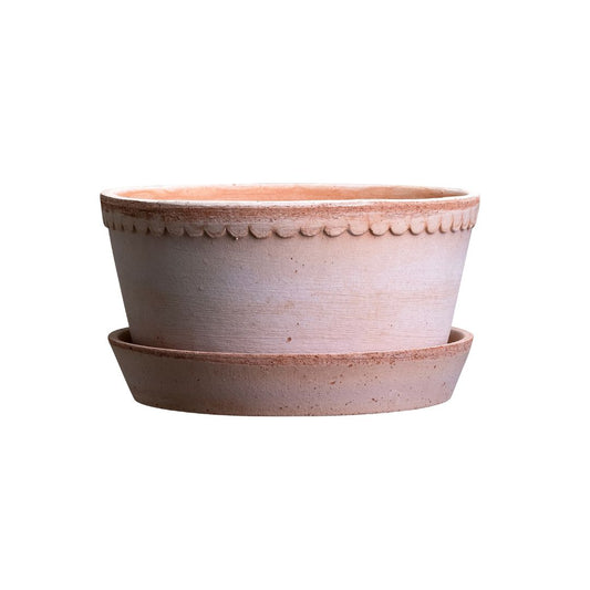 Helena Low Pot 21cm- Rosa Vases, Planters & Jars 