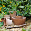 Helena Low Pot 21cm- Rosa Kitchen 