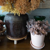 Helena Pot - Rose Quartz Vases & Planters 