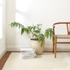 Holmstead Ivory Handwoven Wool Rug Rugs 