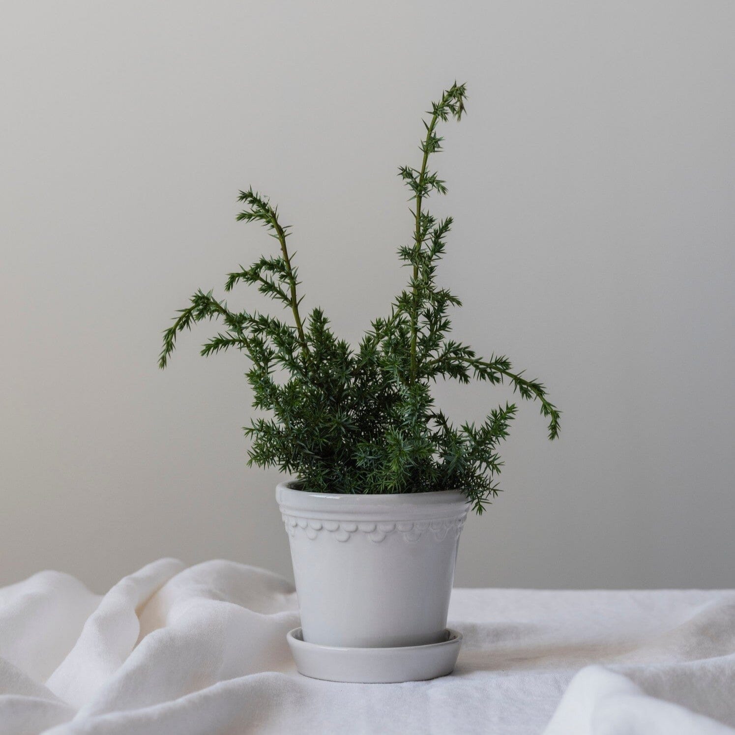 Kobenhavner Glazed Pot - White Vases & Planters 