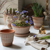 Kobenhavner Low - Rosa Vases & Planters 