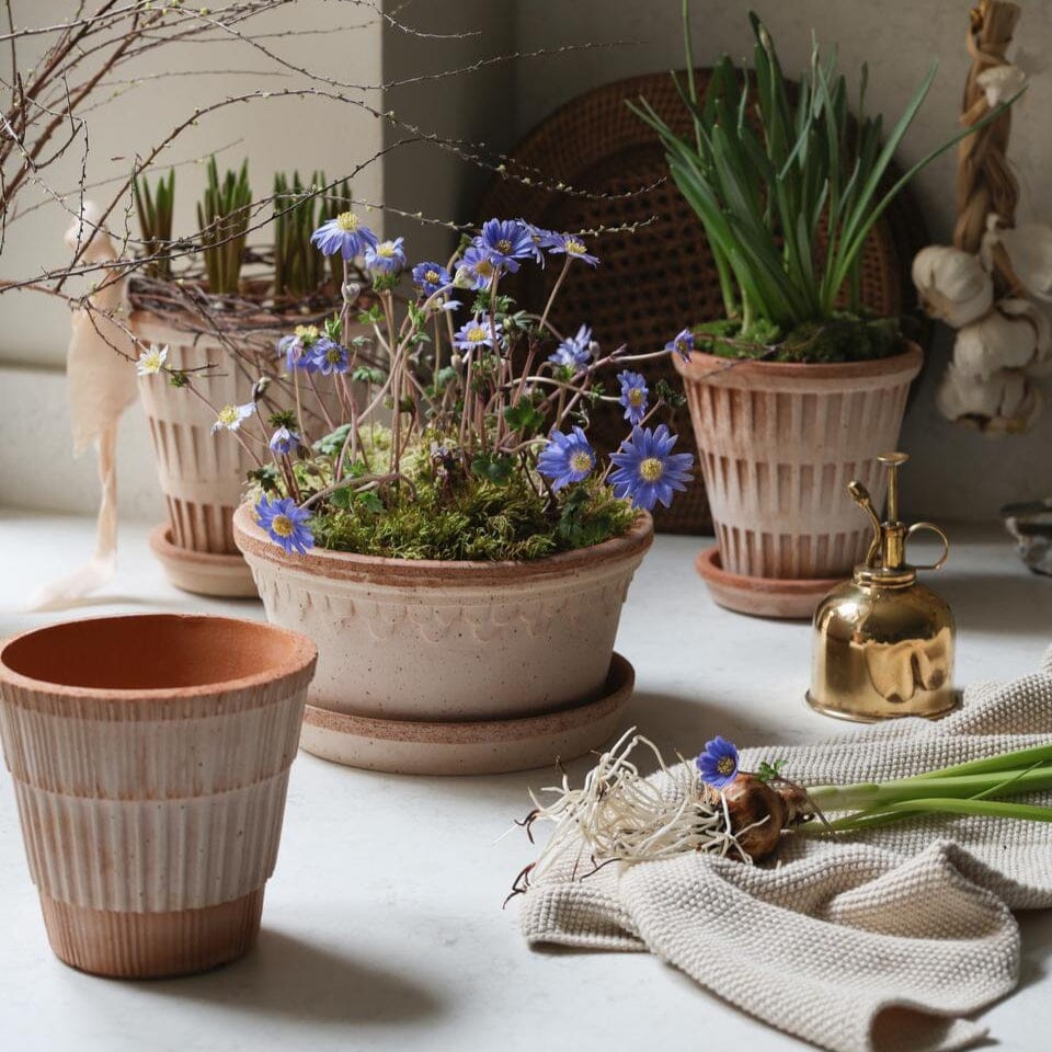 Kobenhavner Low - Rosa Vases & Planters 